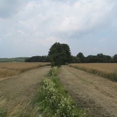 LSG-Noerdliches Weser- und Wiehengebirgsvorland