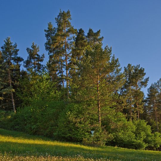 Pflanzenstandort Hummelberg