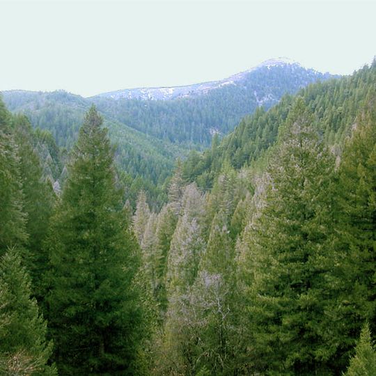 Sierra County