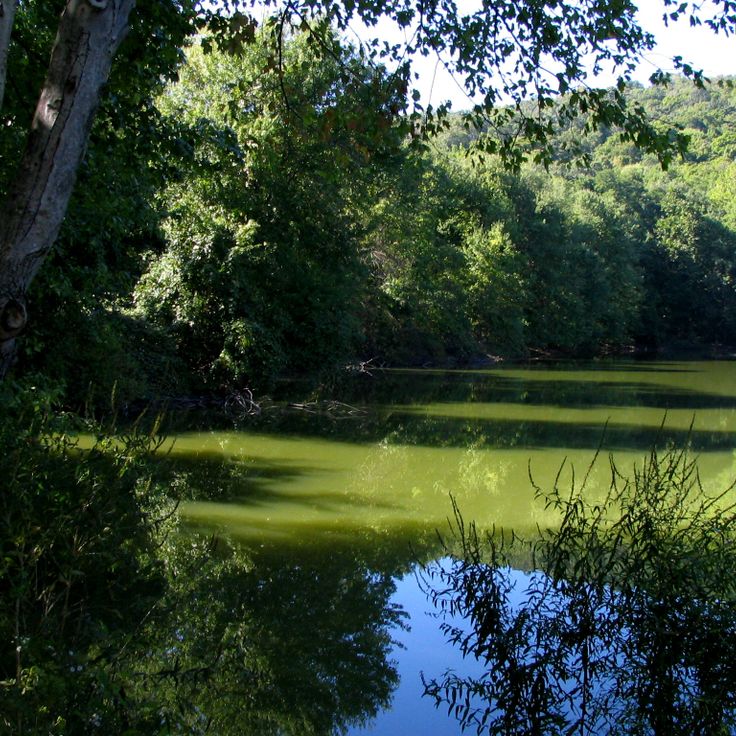 Ramapo Valley County Reservation