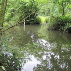 Große Laache