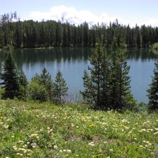 Bearpaw Lake