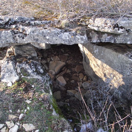 Site mégalithique du plateau de Poujoulet