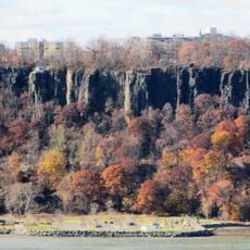 The Palisades