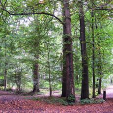 Leefdaalbos