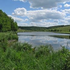 Mykolaivka landscape reserve