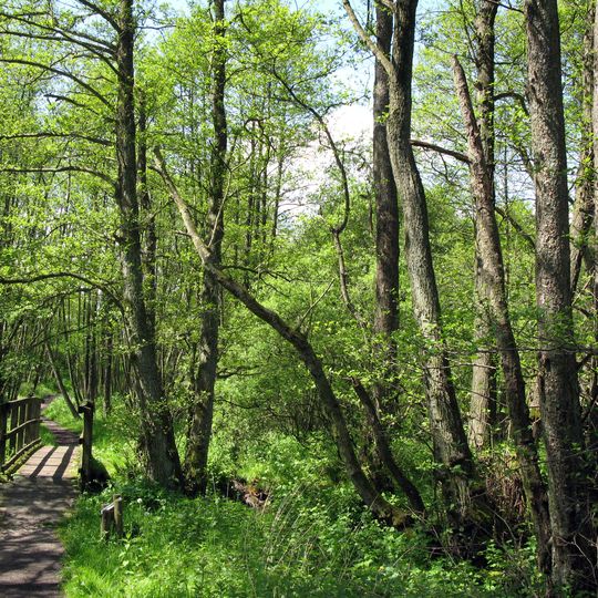 Tal der Langballigau