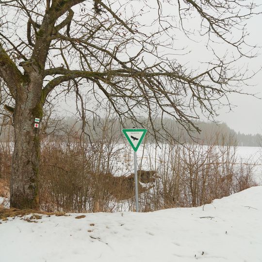 Basaltbrüche ENE von Oberleinleiter
