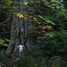 Lost Monarch