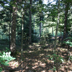 Keltische Viereckschanze