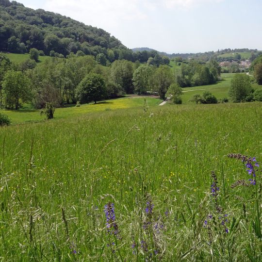 Gronauer Bach mit Hummelscheid und Schannenbacher Moor