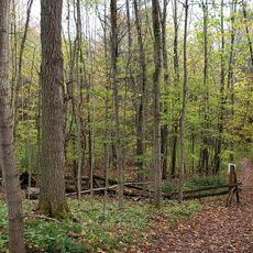 Peter's Woods Provincial Nature Reserve