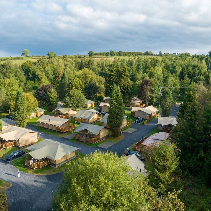 Spineuse Neufchâteau