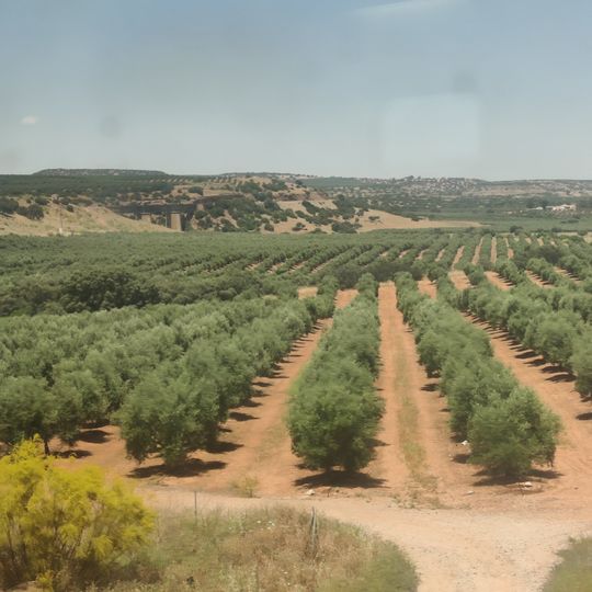 Puente sobre el río Guadalimar