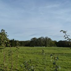 Site with traces of extraction and processing of flint at Heunsberg