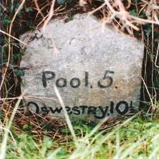 Milestone Sw of Varchoel Bridge, B 4392 , Burgedin