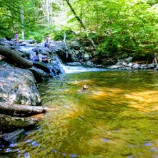 Buttermilk Falls Natural Area