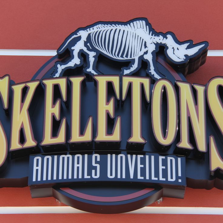 Skeletons: Museum of Osteology