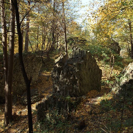 Castle in Myślenice