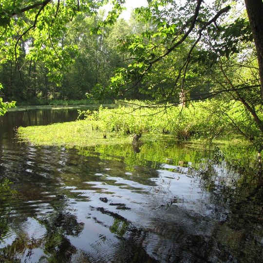 Mattaponi Wildlife Management Area
