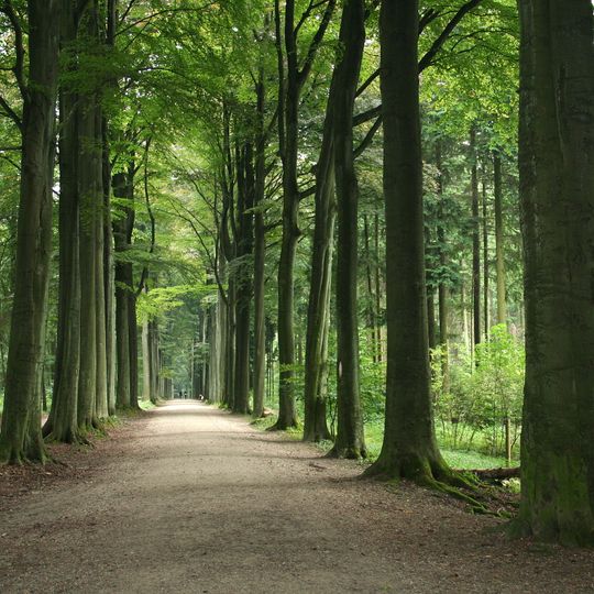 Arboreto de Tervuren