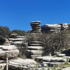 Tornillo del Torcal de Antequera