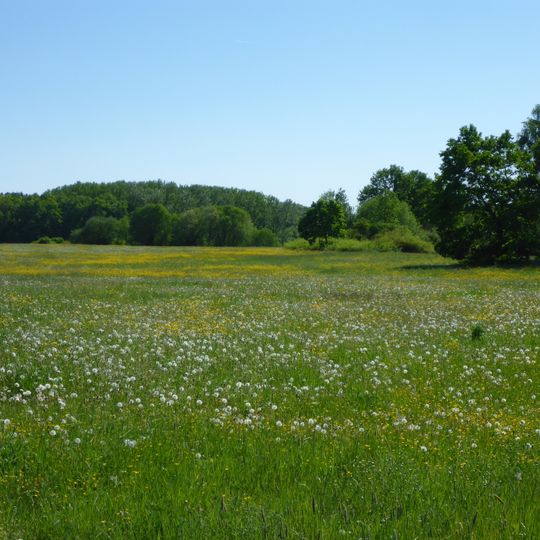 Naturschutzgebiet Aschborn und Uderborn bei Rödgen