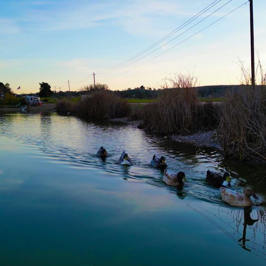 Franklin Hot Springs