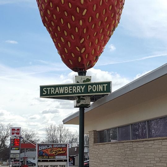World's Largest Strawberry