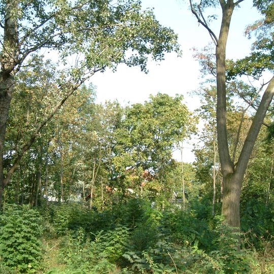 Sturmfederscher Kellergarten