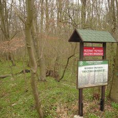 Nature reserve Uroczysko Grodziszcze
