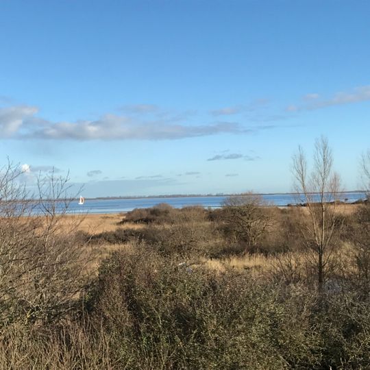 Slikken van Bommenede