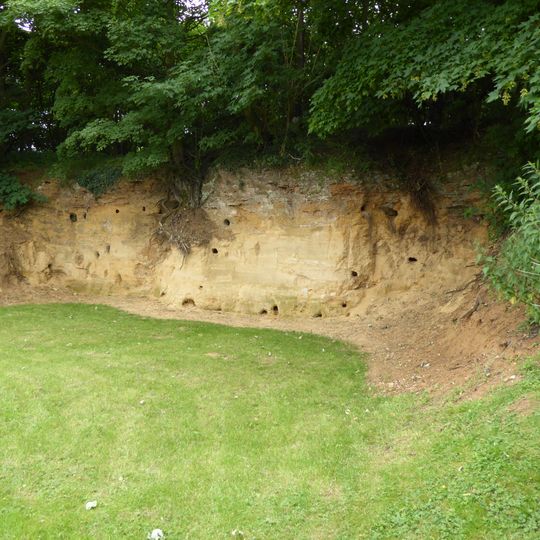 Rockhall Wood Pit, Sutton