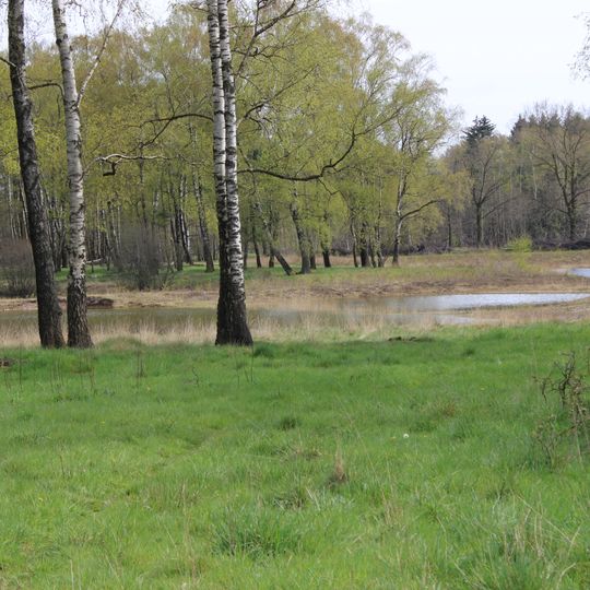 Kleingewässer Achterberg