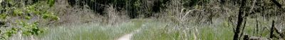 Panoramic View 1