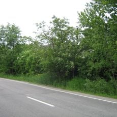 Парк (Кронштадт)