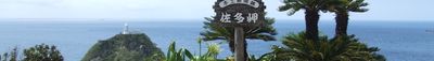 Panoramic View 0