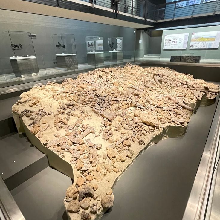 Aire archéologique de Isernia La Pineta