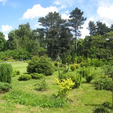 Botanical Garden of the Baltic Federal University Kant