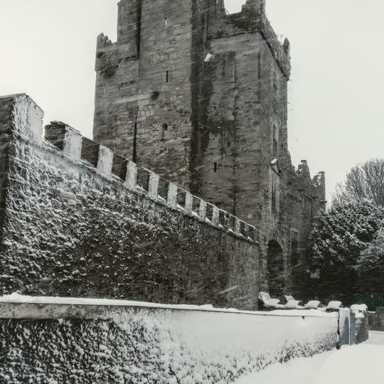 Drimnagh Castle