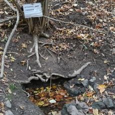 Studánka Járy Cimrmana