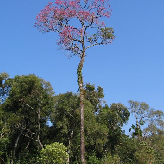 Nationalpark San Rafael