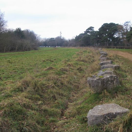 Brasenose Wood and Shotover Hill