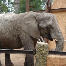 レオン動物園