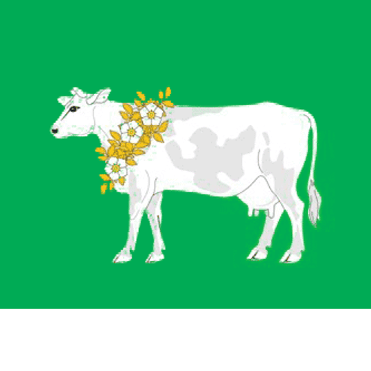 Сельское поселение Ельдигинское