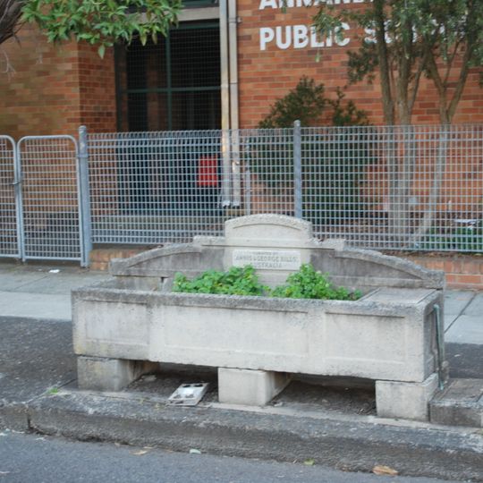 Horse trough