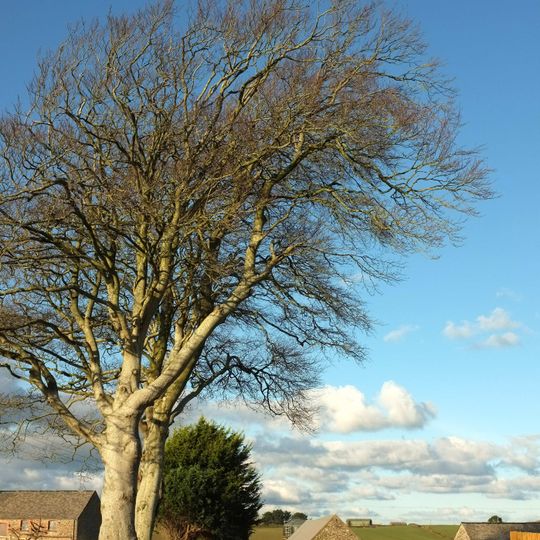 Barn With Attached Round House And Covered Cartway Approximately 10 Metres North-West Of Eastleigh Manor House