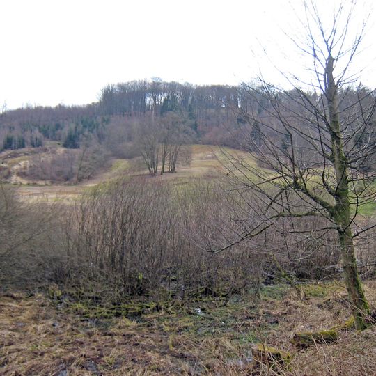 NSG Orchideenwiese bei Heintjeshammer