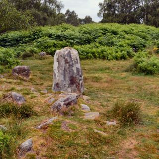 Stoke Flat West prehistoric field system and stone circle