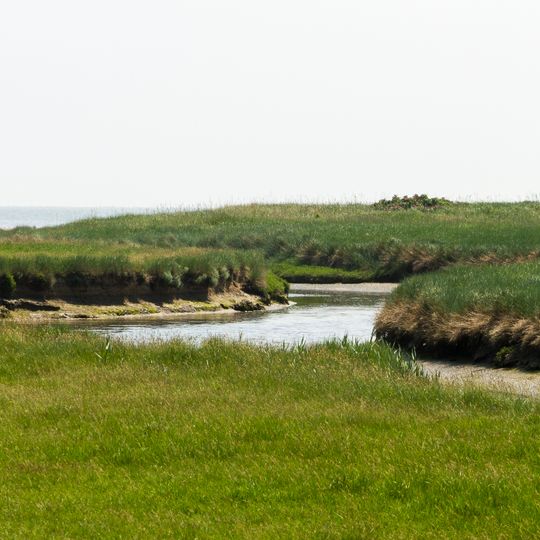 Godelniederung / Föhr
